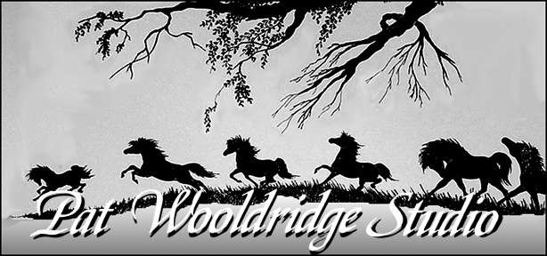 Pat Wooldridge Studio